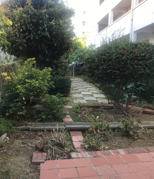 To Let 0 Bedroom Property for Rent in Green Point Western Cape